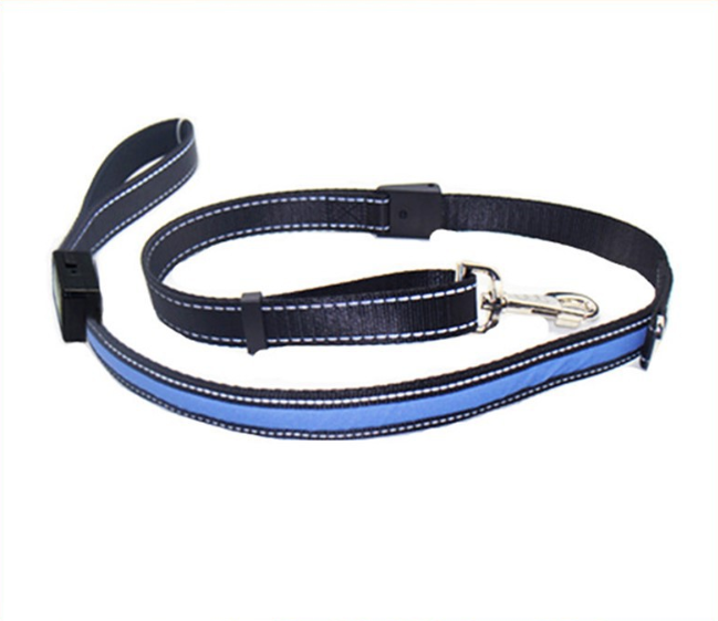 Fluorescent Dog Collar for Nighttime Safety
